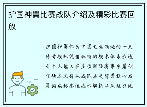 护国神翼比赛战队介绍及精彩比赛回放